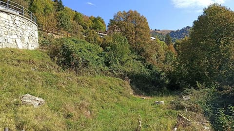 Photo: Altra categoria in Blessagno (CO)