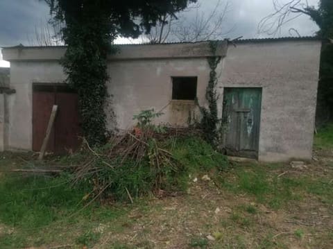 Photo of the lot 9