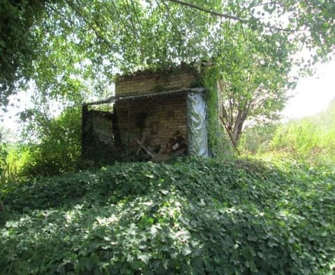 Photo of the lot 8