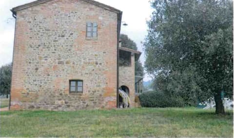 Photo of the lot 2