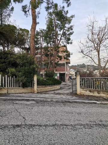 Photo of the lot 2