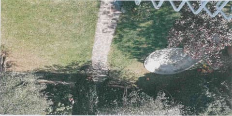 Photo of the lot 4