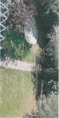 Photo of the lot 4