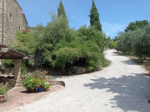 Photo of the lot 3