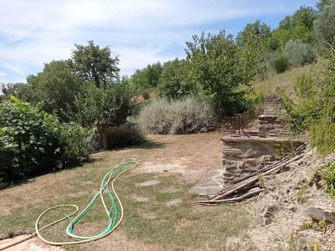Photo of the lot 5
