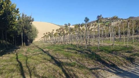Photo: Altra categoria in Ripatransone (AP)