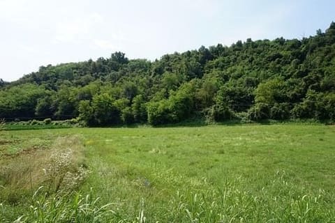 Foto: Altra categoria a Gambugliano (VI)