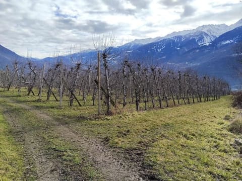 Foto: Altra categoria a Ponte in Valtellina (SO)