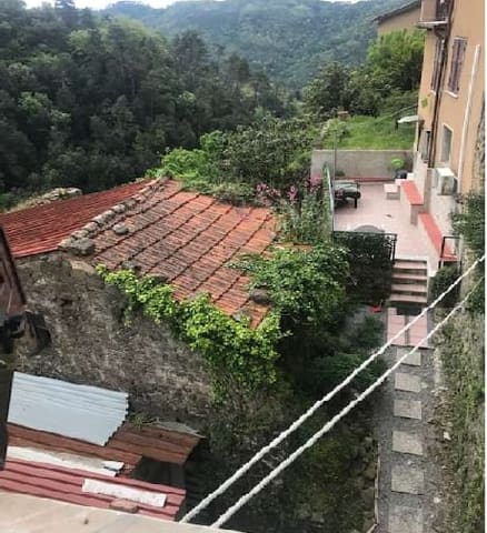 Foto del lotto 1