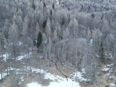 Photo: Altra categoria in Longarone (BL)