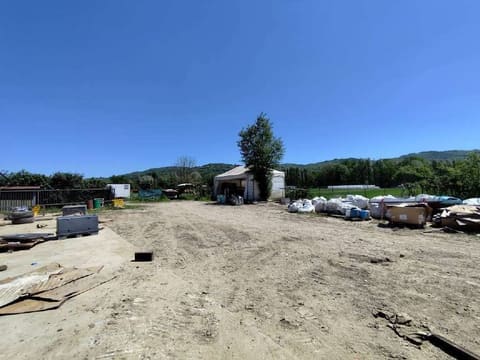 Photo of the lot 3