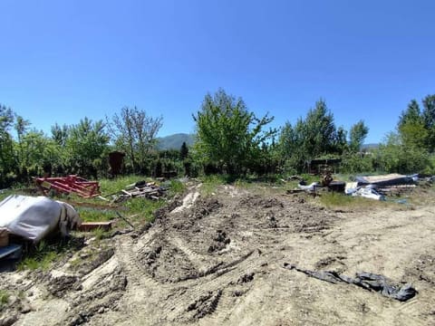Photo of the lot 4