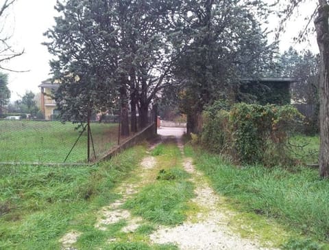 Photo of the lot 3