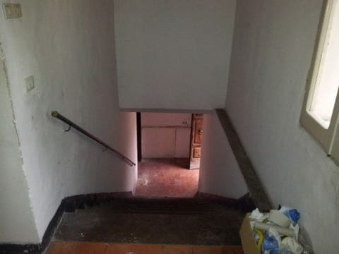Photo of the lot 8