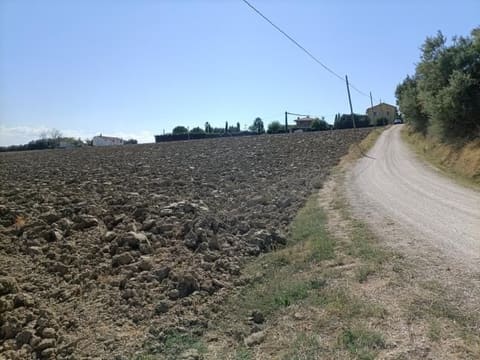 Photo: Altra categoria in Mondolfo (PU)