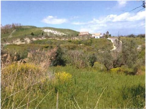 Photo: Altra categoria in Santa Caterina dello Ionio (CZ)