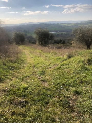 Photo: Altra categoria in Gradara (PU)