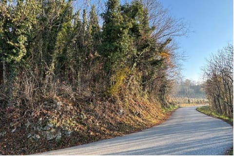 Foto: Altra categoria a Gambugliano (VI)