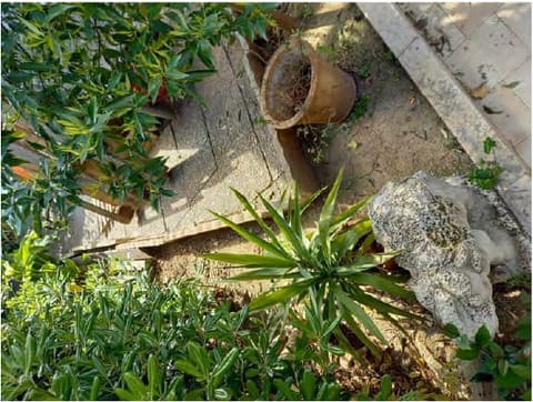 Photo: Immobile residenziale in Rodi Garganico (FG)