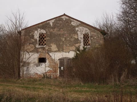 Photo: Altra categoria in Oderzo (TV)