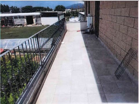 Photo of the lot 3