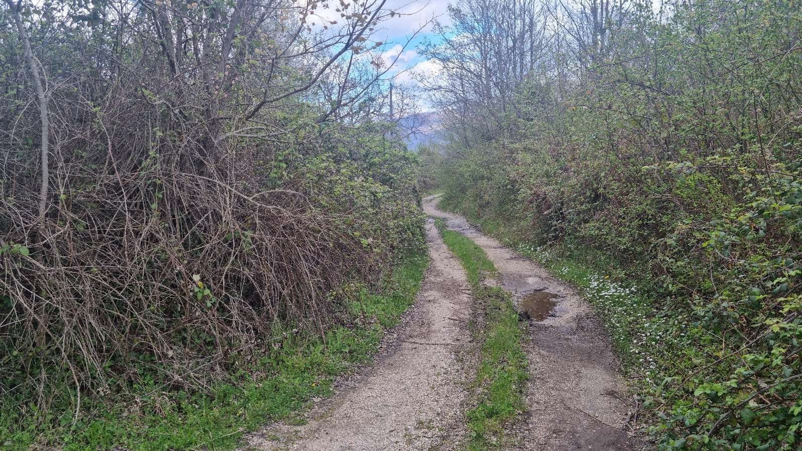 Photo of the lot: Altra categoria in Serino