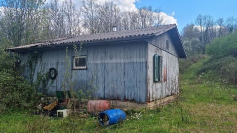 Photo of the lot 2