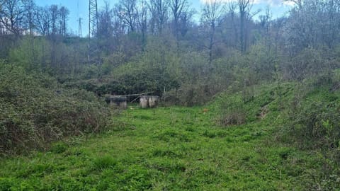 Photo of the lot 4