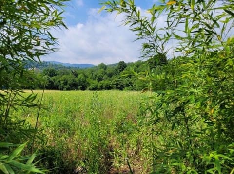 Foto: Altra categoria a San Vito di Leguzzano (VI)