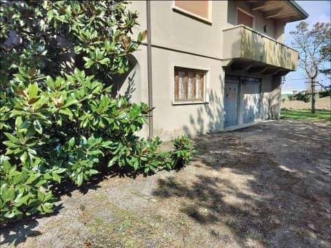 Photo of the lot 3