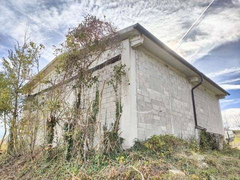 Photo of the lot 3