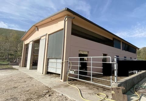 Photo of the lot 5