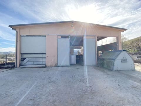 Photo of the lot 6