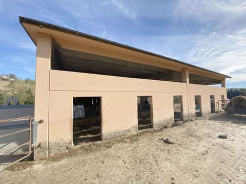 Photo of the lot 7
