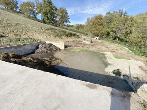 Photo of the lot 8