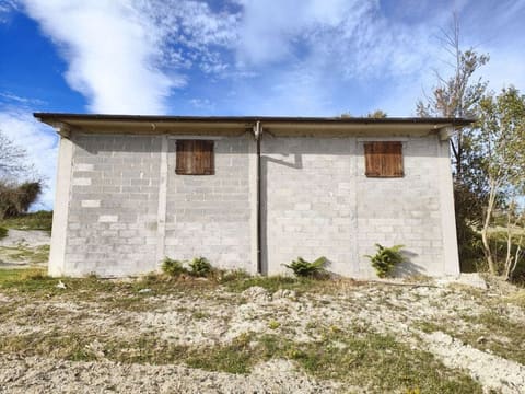 Photo of the lot 2