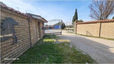 Photo of the lot 3