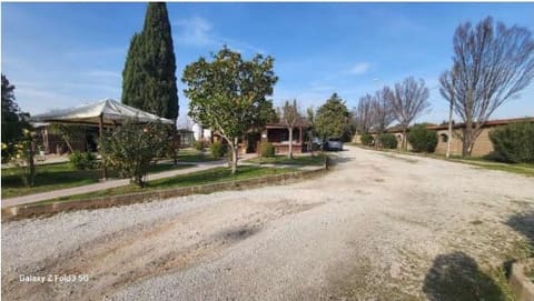 Photo of the lot 5