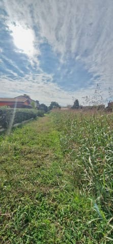 Photo: Altra categoria in Lendinara (RO)