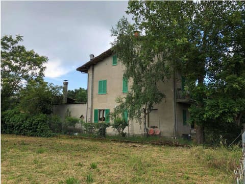 Photo of the lot 3