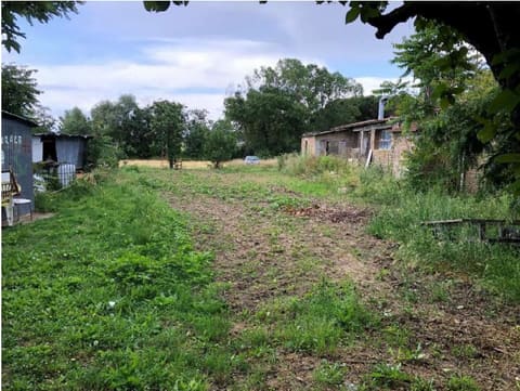 Photo of the lot 8