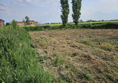Photo: Altra categoria in Granze (PD)