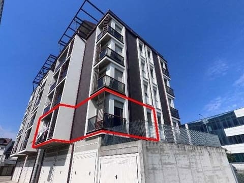 Photo of the lot 3