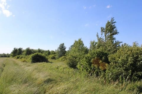 Photo: Altra categoria in Cadelbosco di Sopra (RE)