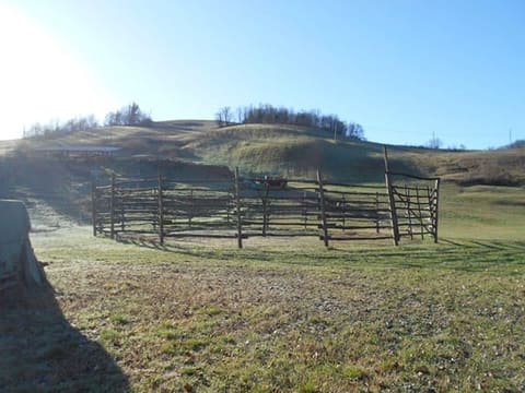 Photo: Altra categoria in Viano (RE)
