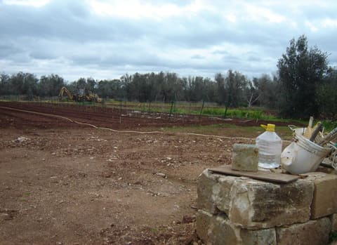 Photo: Land in Collepasso (LE)