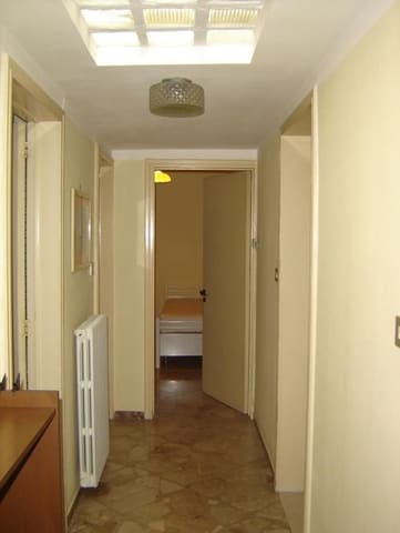 Photo of the lot 4