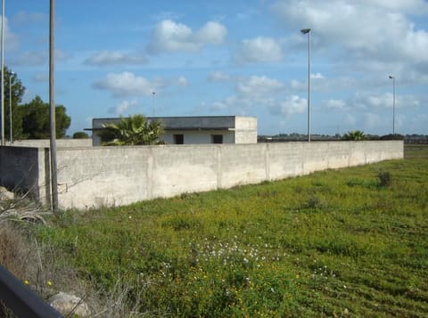 Photo of the lot 3