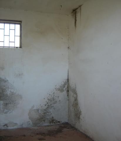 Photo of the lot 5