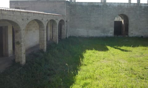 Photo of the lot 3